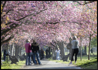 Warm weather continues in the UK
