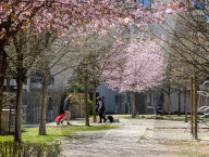 Daily Life In Munich