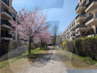 Daily Life In Munich