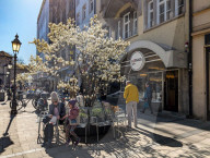 Daily Life In Munich