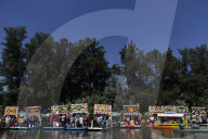 Flower Festival Of The Ejido In Xochimilco, Mexico, Stands In Solidarity With Palestine