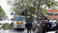 Strong Wind Orange Alert ? in China