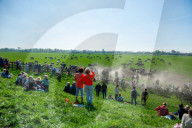 Cows Are Going Outside For The First Time This Year In The Netherlands.