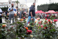 Festival Of Flowers And Plants In Blida, Algeria