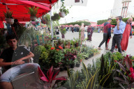 Festival Of Flowers And Plants In Blida, Algeria