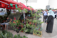 Festival Of Flowers And Plants In Blida, Algeria