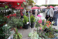 Festival Of Flowers And Plants In Blida, Algeria