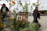 Festival Of Flowers And Plants In Blida, Algeria