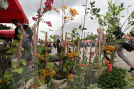 Festival Of Flowers And Plants In Blida, Algeria