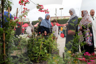 Festival Of Flowers And Plants In Blida, Algeria