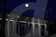 Pink Moon In Poland
