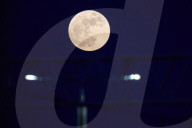 Pink Moon In Poland