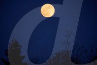 Pink Moon In Poland
