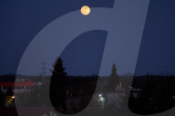 Pink Moon In Poland