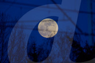 Pink Moon In Poland