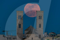 Pink Full Moon