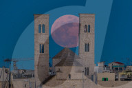 Pink Full Moon