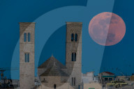 Pink Full Moon
