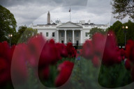 The White House on a rainy afternoon