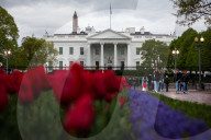 The White House on a rainy afternoon