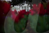 The White House on a rainy afternoon