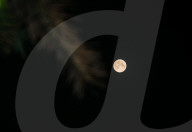 Pink Moon 2025 - Micromoon
