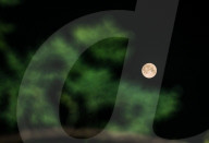 Pink Moon 2025 - Micromoon