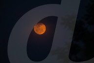 Pink Moon 2025 - Micromoon