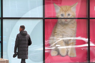 Daily Life In North York, Ontario, Canada