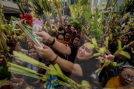 Palm Sunday Observation In The Philippines