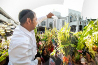 Palm Sunday Observation In The Philippines