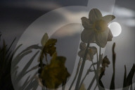 Full Moon Of April 2025