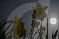Full Moon Of April 2025
