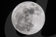 Full Moon Of April 2025