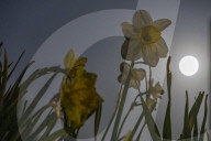 Full Moon Of April 2025