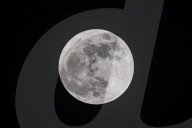 Full Moon Of April 2025