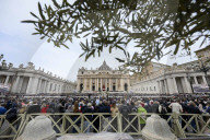 NEWS -  Papst Franziskus am Palmsonntag im Vatikan