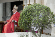 NEWS -  Papst Franziskus am Palmsonntag im Vatikan