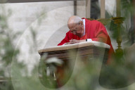 NEWS -  Papst Franziskus am Palmsonntag im Vatikan