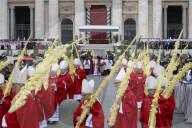 NEWS -  Papst Franziskus am Palmsonntag im Vatikan