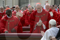 NEWS -  Papst Franziskus am Palmsonntag im Vatikan