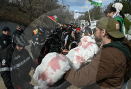 Demonstrators And Police Clash During Palestinian Solidarity Rally In Edmonton