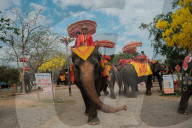 Elephants Join Songkran Festival In Ayutthaya To Mark Thai New Year