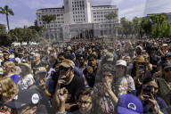 Fight Oligarchy Rally, Los Angeles 4-12-25