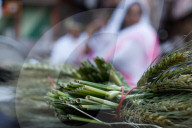  Palm Sunday Celebrations