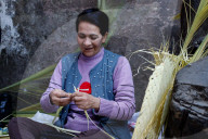  Palm Sunday Celebrations
