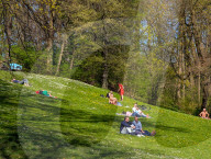 Everyday Life In Munich