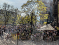 Everyday Life In Munich