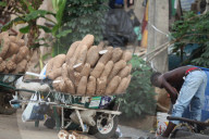 Palm Sunday In Lagos, Nigeria