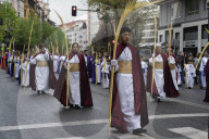 Palm Sunday Procession
